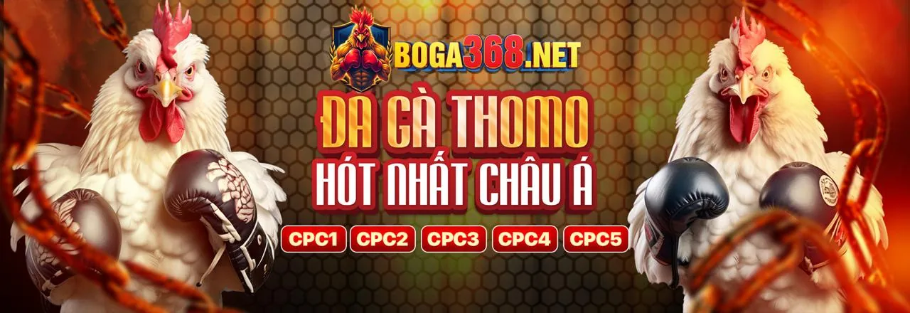 Minh họa công nghệ truyền hình trực tiếp đá gà