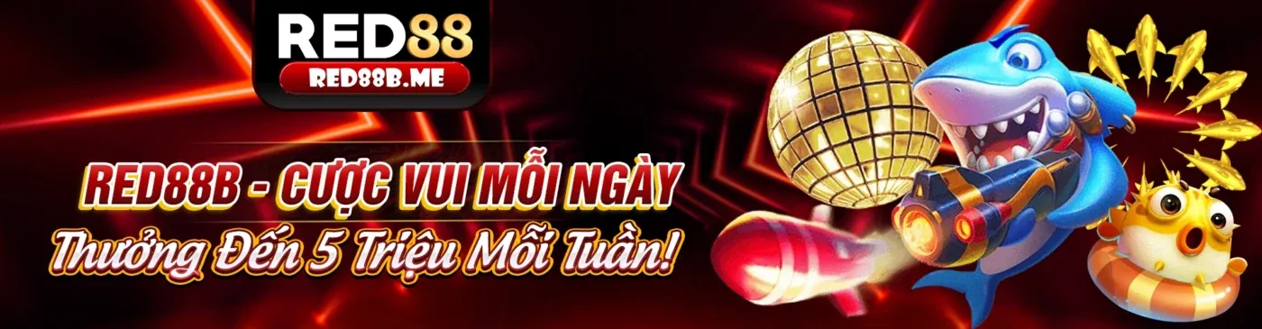 Hình ảnh minh họa cookie bên thứ ba từ các đối tác phân tích và quảng cáo